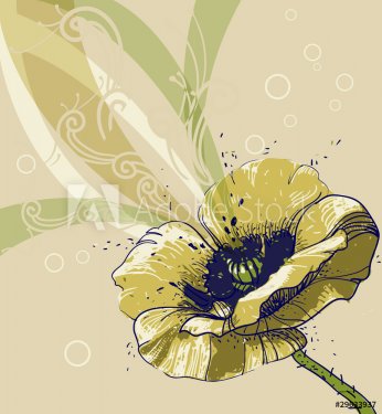 vector  background with a single yellow poppy - 900511230