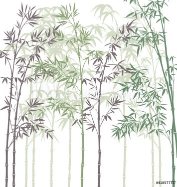 vector background with bamboo forest - 901137904
