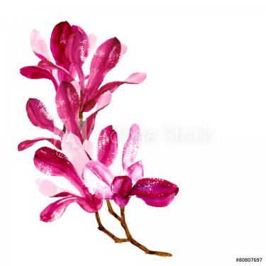 Vector background with red watercolor magnolia - 901147275