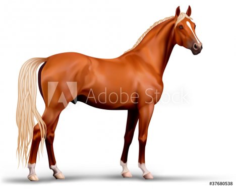 Vector beautiful realistic flaxen chestnut horse - 901154223