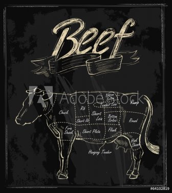 vector hand drawn beef - 901143853