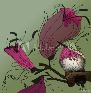 vector humming-bird and bright tropical flowers