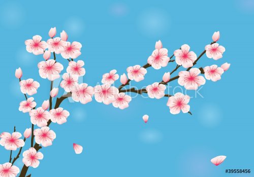 Vector Illustration Of Cherry Blossom