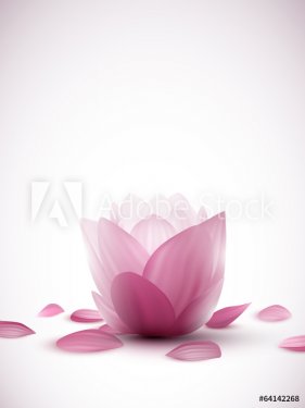 vector lotus flowers - 901142890