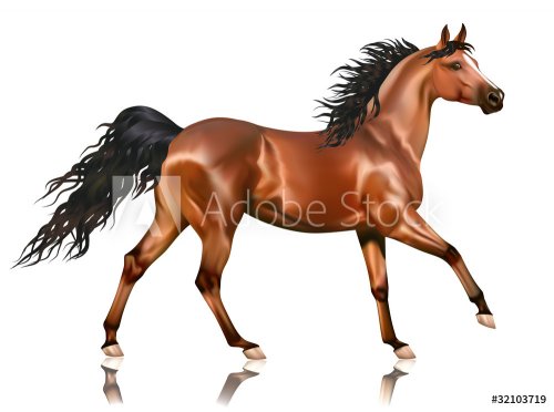 Vector running bay arabian horse