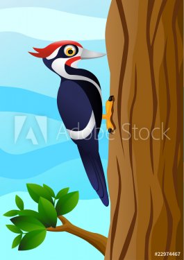 Vector woodpecker - 900461271
