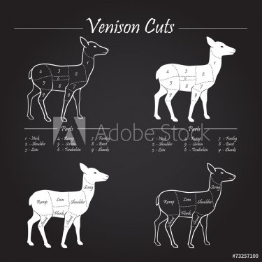 Venison meat cut diagram scheme - blackboard - 901143902