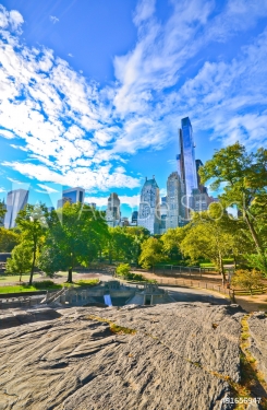 View of Central Park in a sunny day in New York City. - 901146805