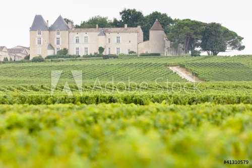 vineyard and Chateau d'Yquem, Sauternes Region, France