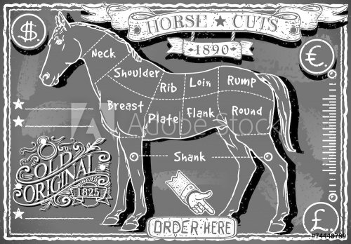 Vintage Blackboard of English Cut of Horse