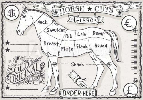 Vintage Page of English Cut of Horse