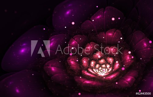 violet abstract flower