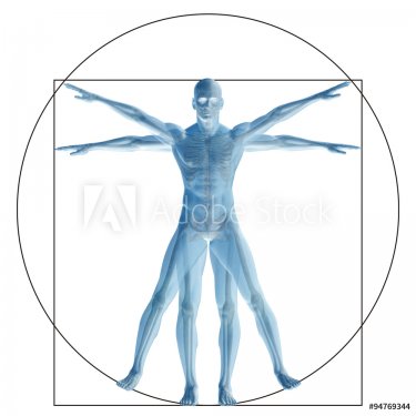Vitruvian human or man conceptual 3d proportion anatomy body - 901145746