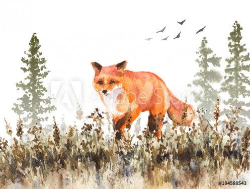 Walking Red Fox Sketch - 901153700