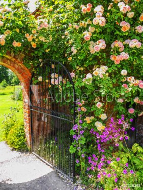 walled garden - 901146513