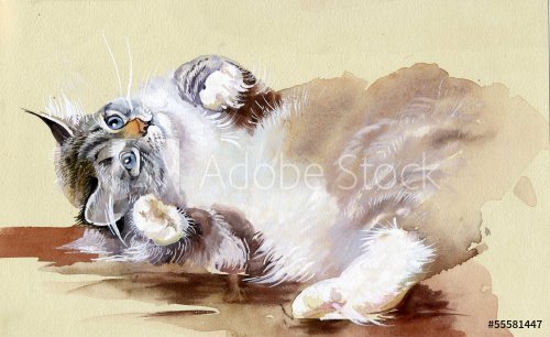 Watercolor Animal Collection: Cat - 901146316