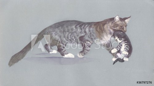Watercolor Animal Collection: Cat - 901146324