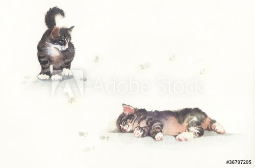 Watercolor Animal Collection: Cat - 901146328