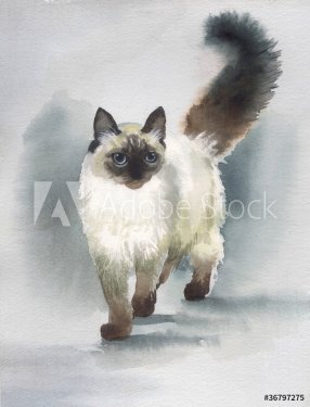 Watercolor Animal Collection: Cat - 901146330