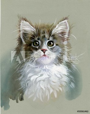 Watercolor Animal Collection: Gray Cat - 901146334