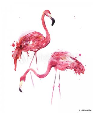 Watercolor, flamingos - 901153847
