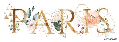 watercolor illustration with wild flowers, herbs, rose. Cool print on T-shirt with geometric shape.  Lettering - paris