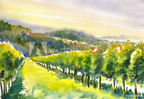 Watercolor painted illustration of Styrian Tuscany Vineyard ,Austria  - 901153730