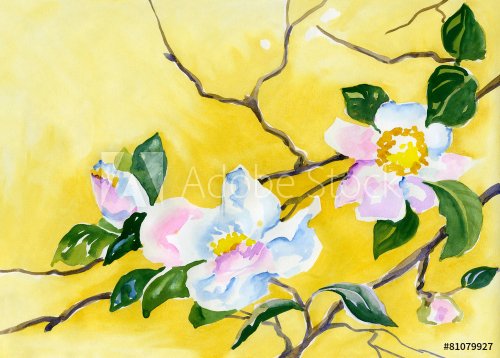 watercolor painting of delicate cherry blossoms on a branch