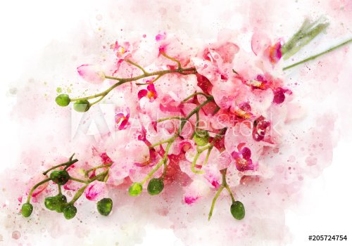 Watercolor peach flower spring - 901153596