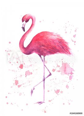 Watercolor pink flamingo - 901153683