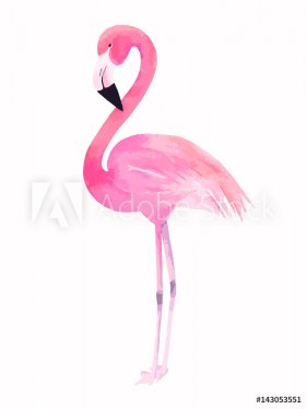 Watercolor pink flamingo. Vector illustration