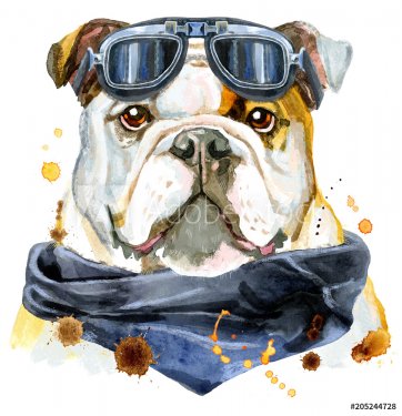 Watercolor portrait of bulldog - 901153923