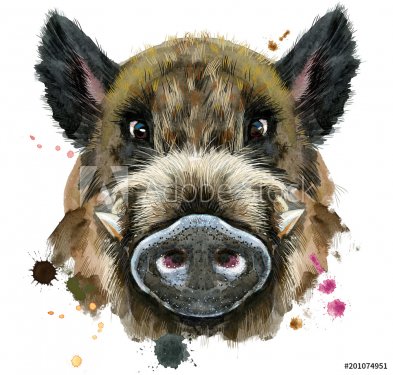 Watercolor portrait of wild boar - 901153834