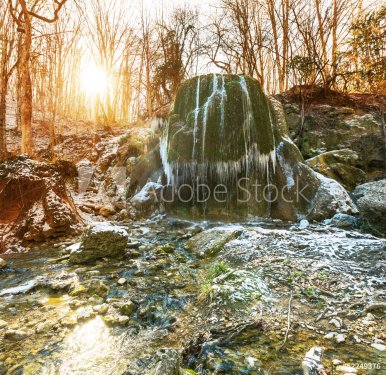 Waterfall in forest - 901139493
