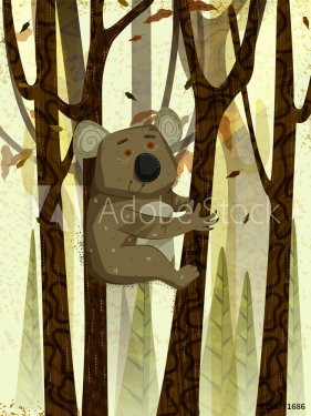 Wild animal Koala in jungle forest background - 901151707