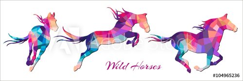 wild horses - 901154220