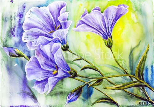 Wildflowers. Watercolor painting. - 901142963