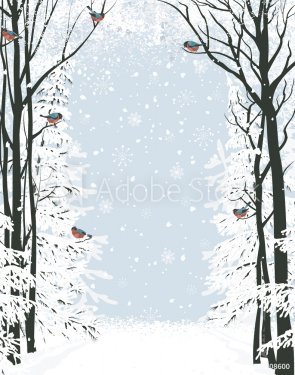 Winter frame composition with trees on sides