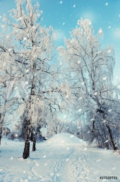 Winter landscape - 901138034
