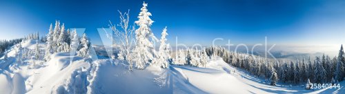 winter mountain panorama - 900055362