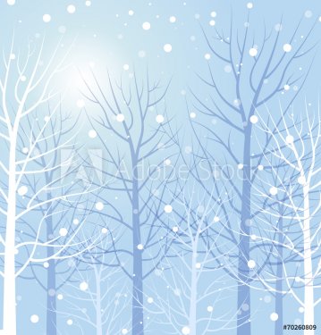 Winter trees - 901143101