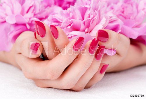 Woman cupped hands with manicure holding a pink flower - 900106219