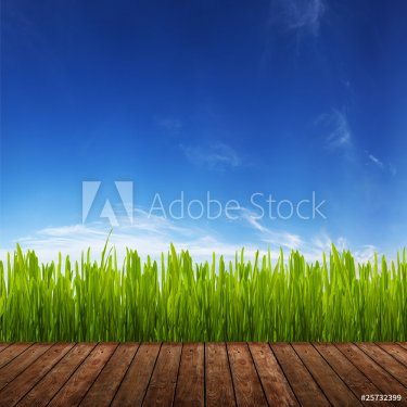 wood board, grass and sky - 900634938