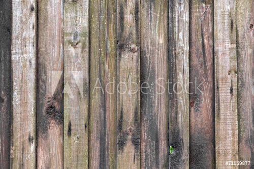 Wood planks background texture - 901143952
