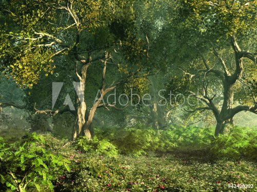 Wooded Meadow - 900485164