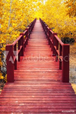 wooden bridge & autumn forest.