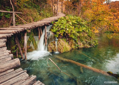 Wooden bridge through the river in autumn season - 901147965
