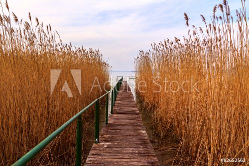Wooden pier in tranquil lake Balaton - 901147873