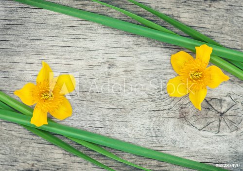 Yellow flower and green grass on the old wood