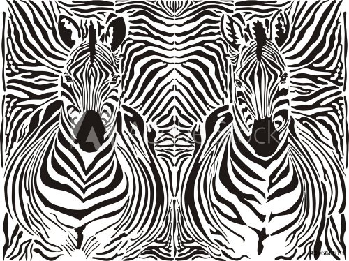 Zebra pattern background - 901139816
